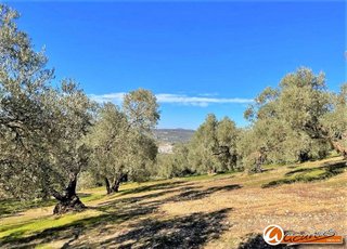 Terreno en venta en Villanueva del Trabuco