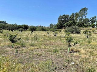 Terreno en venta en Jaraíz de la Vera