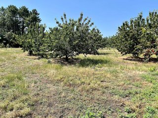 Terreno en venta en Jaraíz de la Vera