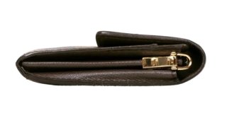 Borsa Louis Vuitton Marrone