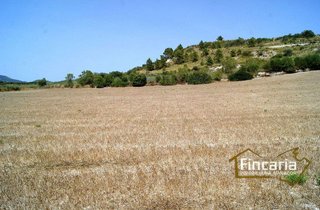 Terreno en venta en Manacor Centro en Manacor