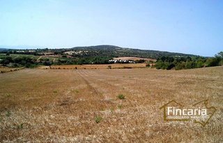 Terreno en venta en Manacor Centro en Manacor
