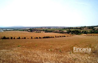 Terreno en venta en Manacor Centro en Manacor