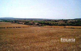 Terreno en venta en Manacor Centro en Manacor