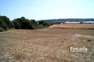 Terreno en venta en Manacor Centro en Manacor
