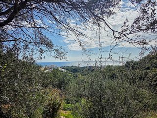 Terreno en venta en Alto de los Monteros en Marbella