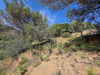 Terreno en venta en Alto de los Monteros en Marbella
