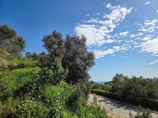 Terreno en venta en Alto de los Monteros en Marbella