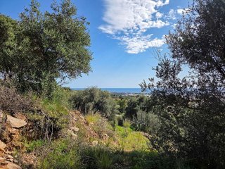 Terreno en venta en Alto de los Monteros en Marbella