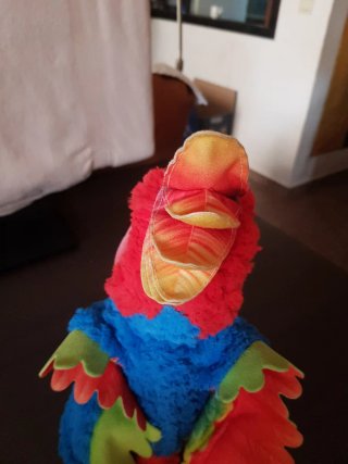 Loro,mi loro molón