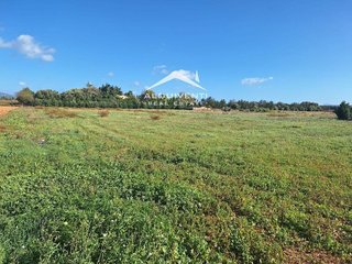 Terreno en venta en Muro en Muro