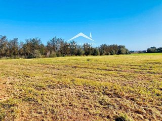 Terreno en venta en Muro en Muro