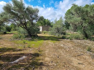 Casa rural en venta en L'Ametlla de Mar en Ametlla de Mar, l´