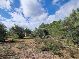 Casa rural en venta en L'Ametlla de Mar en Ametlla de Mar, l´