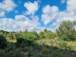 Casa rural en venta en L'Ametlla de Mar en Ametlla de Mar, l´