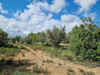 Casa rural en venta en L'Ametlla de Mar en Ametlla de Mar, l´