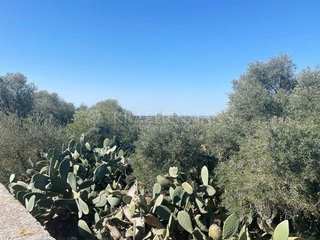 Casa rural en venta en Campos
