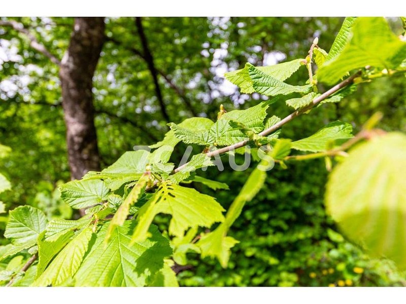 Land for sale in Escaldes-Engordany · 10 of 19
