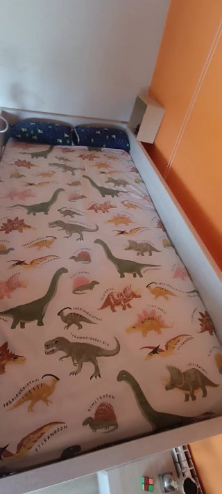 Cama
