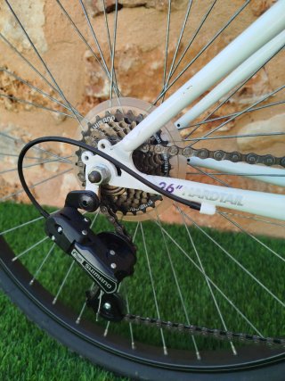 Bicicleta Blanca