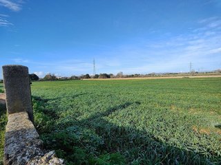 Terreno en venta en Llucmajor Interior en Llucmajor