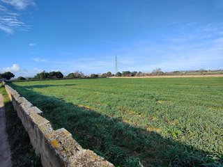 Terreno en venta en Llucmajor Interior en Llucmajor
