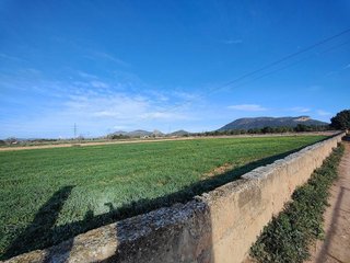 Terreno en venta en Llucmajor Interior en Llucmajor