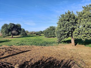 Terreno en venta en Llucmajor Interior en Llucmajor