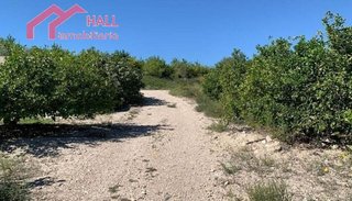 Terreno en venta en Abanilla