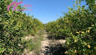 Terreno en venta en Abanilla