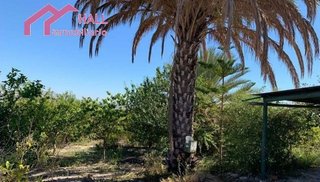 Terreno en venta en Abanilla