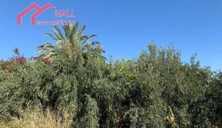 Terreno en venta en Abanilla