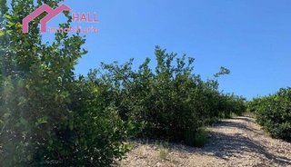 Terreno en venta en Abanilla