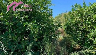 Terreno en venta en Abanilla