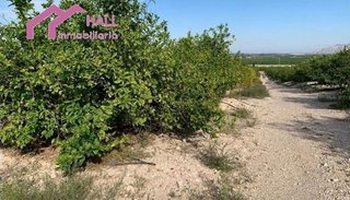Terreno en venta en Abanilla