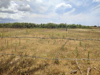 Terreno en venta en Conil en Conil de la Frontera