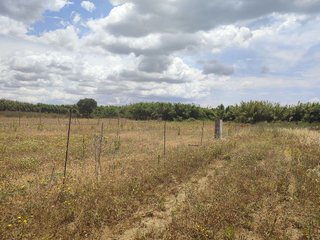 Terreno en venta en Conil en Conil de la Frontera
