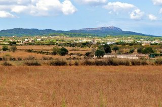 Terreno en venta en Porreres