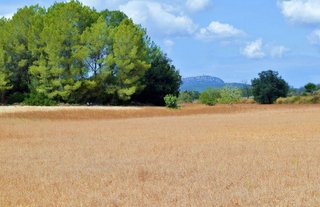 Terreno en venta en Porreres