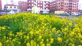 Terreno en venta en Lardero