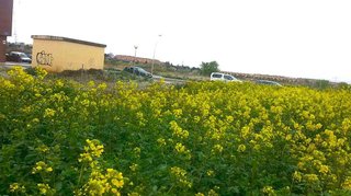 Terreno en venta en Lardero