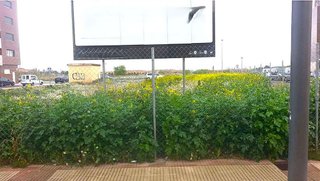 Terreno en venta en Lardero