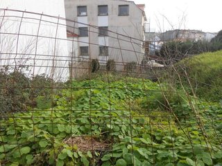 Terreno en venta en Grove (O)
