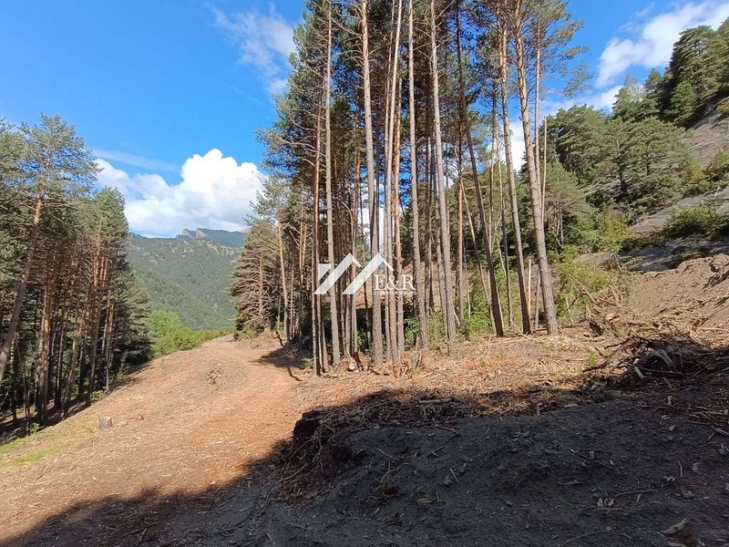 Land for sale in La Massana · 5 of 13