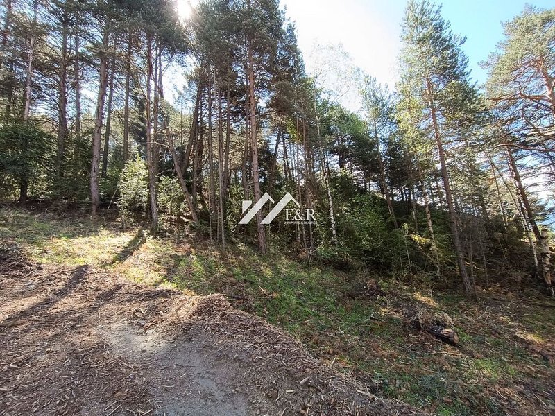 Land for sale in La Massana · 7 of 13