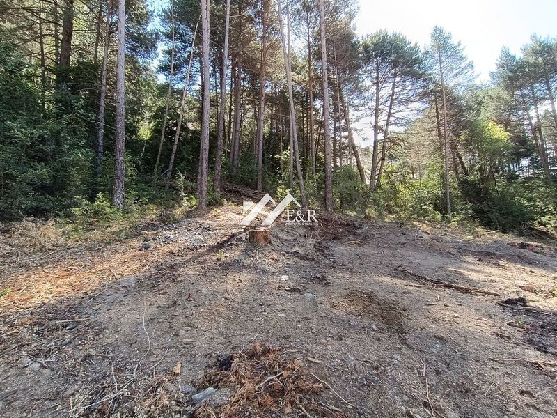 Land for sale in La Massana · 12 of 13