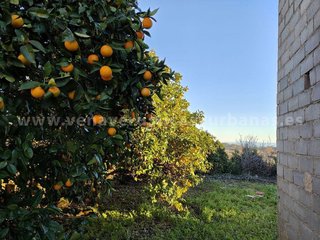 Terreno en venta en Valverde de la Vera