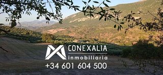 Casa rural en venta en Algodonales