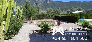 Casa rural en venta en Algodonales