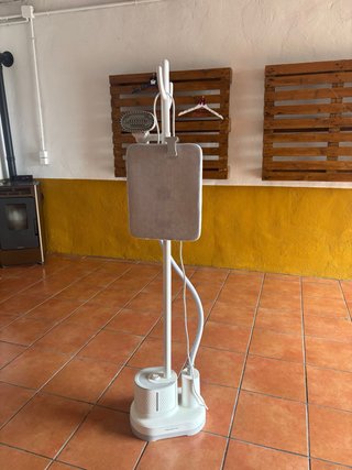 Plancha Vertical Vapor Rowenta